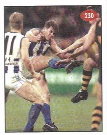 1996 Select AFL Stickers #230 Wayne Carey Front